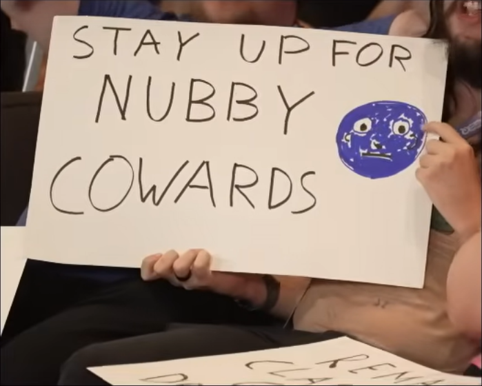 A screenshot of a crowd sign from the AEW Fight Forever run at Summer Games Done Quick 2025. The sign demands that we stay up for Nubby.